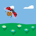 Ladybug flying over the meadow Royalty Free Stock Photo