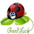 Ladybug with four-leaf clover Royalty Free Stock Photo