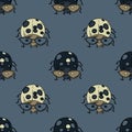 Ladybug funky seamless pattern Royalty Free Stock Photo