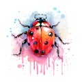 ladybug Generative Ai Royalty Free Stock Photo