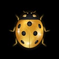 Ladybug gold insect small icon. Golden lady bug animal sign, isolated on black background. 3d volume design. Cute