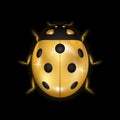 Ladybug gold insect small icon. Golden lady bug animal sign, isolated on black background. 3d volume design. Cute