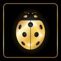 Ladybug gold insect small icon. Golden lady bug animal sign, isolated on black background. 3d volume design. Cute