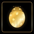 Ladybug gold insect small icon