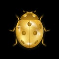 Ladybug gold insect small icon