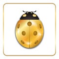 Ladybug gold insect small icon. Golden lady bug animal sign, isolated on white background. 3d volume design. Cute