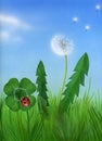 Lucky spring with ladybug and four-leaved clover Royalty Free Stock Photo