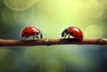 ladybug beetle insect leaf spring summer macro nature animal red. Generative AI.