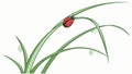 Ladybug on Grass with Water Drops Vector Art, vector design Generative AI Royalty Free Stock Photo