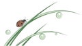 Ladybug on Grassy Blade with Dew Drops Vector Art, vector design Generative AI Royalty Free Stock Photo
