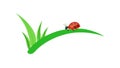 Ladybug on Green Grass Vector, Simple Nature Icon, vector design Generative AI Royalty Free Stock Photo