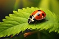 ladybug on green leaf in nature. macro shot of ladybug, Beautiful nature scene, Beautiful ladybug on leaf defocused background, AI