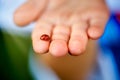 Ladybug on the hand of a little kid