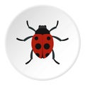 Ladybug icon circle