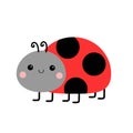 Ladybug icon. Lady bug ladybird insect. Cute cartoon kawaii funny baby character. Side view. Happy Valentines Day. Sticker Royalty Free Stock Photo