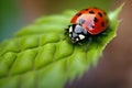 Ladybug insect closeup macro. Generative AI Royalty Free Stock Photo