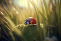 Ladybug insect on green blade grass. Generate ai