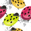 Ladybug Insect seamless pattern design
