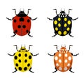 Ladybug. Insects nature bugs vector illustrations of cartoon red, yellow and black ladybugs.