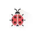 Ladybug. Isolated color icon. Animal vector illustration Royalty Free Stock Photo