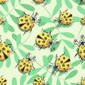 Ladybug, ladybird. Acacia tree, leaves. Pattern. Vector cartoon character. Cute yellow ladybugs Royalty Free Stock Photo