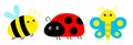 Ladybug ladybird, bee bumblebee, butterfly, lady bug. Insect set line. Cute cartoon funny kawaii baby animal character. Flat