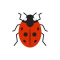 Ladybug ladybird bug single flat color vector icon