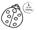 Ladybug, ladybird cartoon doodle sketch abc Royalty Free Stock Photo