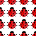 Ladybug or ladybird  graphic illustration, isolated. Cute simple flat design of black and red lady beetle. Seamless ladybag Royalty Free Stock Photo