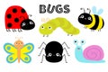 Ladybug ladybird, green caterpillar, butterfly, spider, lady bug honey bee, snai, beetle. Insect set. Cute cartoon kawaii baby Royalty Free Stock Photo