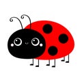 Ladybug Ladybird icon. Cute cartoon kawaii smiling baby animal character. Funny insect. Flat design. Isolated. White background Royalty Free Stock Photo