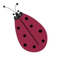 Ladybug or ladybird simple flat design red and black. Vector illustration isolated on white background Royalty Free Stock Photo