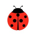 Ladybug or ladybird vector graphic illustration, isolated. Cute simple flat design of black and red lady beetle