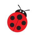 Ladybug or ladybird vector graphic illustration, isolated. Cute simple flat design of black and red lady beetle. Royalty Free Stock Photo