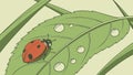 Ladybug on Leaf with Dew Drops, vector design Generative AI Royalty Free Stock Photo