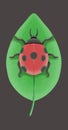 Lady bug and leaf