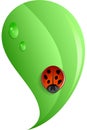 Ladybug On Leaf - Vector Illustration