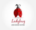 Ladybug logo icon symbol vector