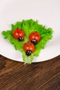 Ladybug made of raw tomato on lettuce leaf Royalty Free Stock Photo