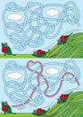 Ladybug maze