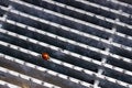 Ladybug on a metal surface - great for a cool background Royalty Free Stock Photo