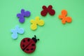 Ladybug and multicolored butterflies on green paper