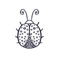 Ladybug outline icon. Printable t-shirt design. Logo or poster. Tattoo illustration with hand drawn insect. Fine art interior