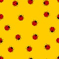 Ladybug pattern seamless. bug background cartoon style. Children cloth texture Royalty Free Stock Photo