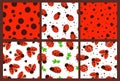 Ladybug patterns. Red dots texture, garden bugs and seamless ladybugs illustration vector set