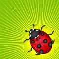 Ladybug poster in retro style
