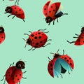 Ladybug red. Seamless pattern. Wildlife object. Little funny insect. Cute cartoon style. Vector