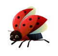 Ladybug red. Side view. Wildlife object. Prepared to take off and spread wings. Little funny insect. Cute cartoon style