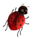 Ladybug red. View from the back. Wildlife object. Little funny insect. Cute cartoon style. Isolated on white background