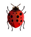 Ladybug red. Wildlife object. Little funny insect. Cute cartoon style. Isolated on white background. Vector
